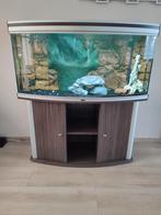 Te koop aquarium Aquatlantis met vissen en garnalen, Dieren en Toebehoren, Ophalen, Gebruikt