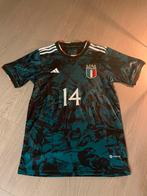 Italië (Chiesa 14) special edition voetbalshirt, Sport en Fitness, Voetbal, Maat S, Ophalen of Verzenden, Nieuw, Shirt
