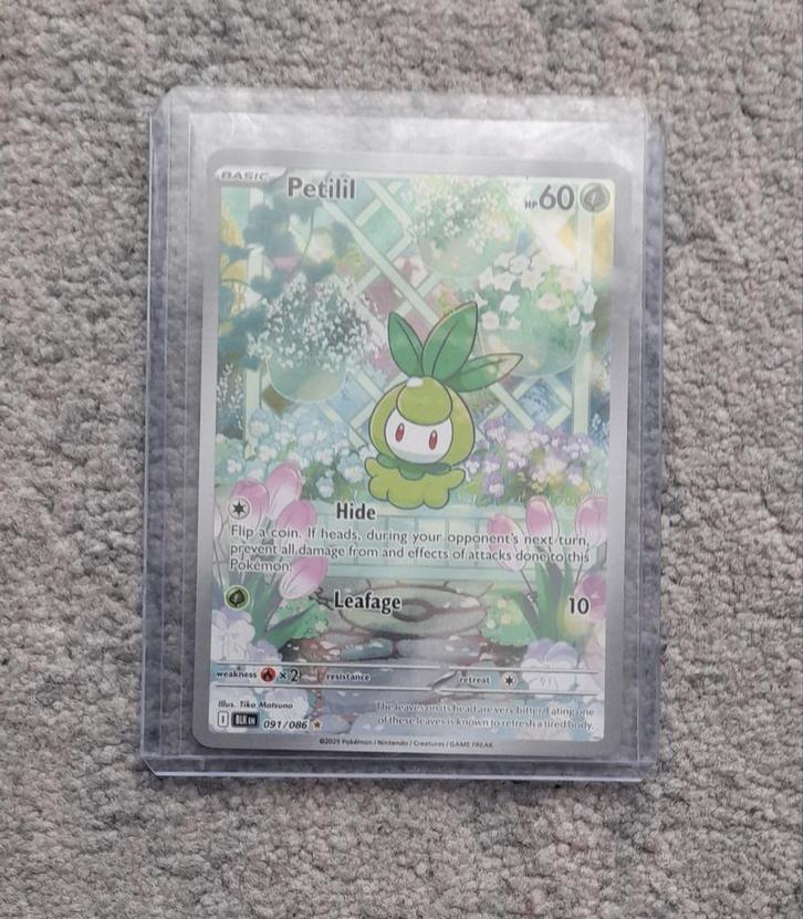 Petilil Pokémon Kaart – Dream League 091/049 (Reverse Holo), Hobby en Vrije tijd, Verzamelkaartspellen | Pokémon, Zo goed als nieuw