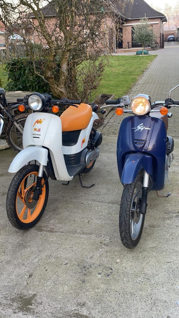 Honda sky GEZOCHT, Vélos & Vélomoteurs, Vélomoteurs & Scooters bridés, Utilisé, Piaggio, Deux-temps, Enlèvement