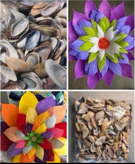 Couteaux schelpjes voor bloemekes !, Hobby en Vrije tijd, Knutselen, Zo goed als nieuw, Ophalen of Verzenden