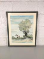 Vic Buys - tekening boerenpaard, Antiek en Kunst, Ophalen of Verzenden