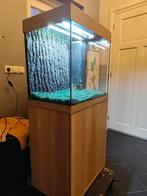 Juwel Lido 120 led aquarium, Enlèvement