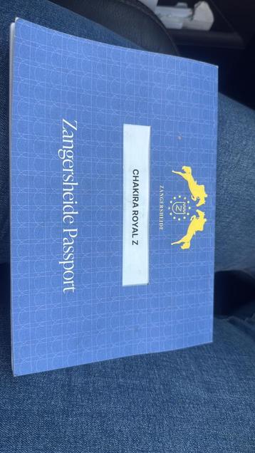 Sportmerrie beschikbaar voor biedingen