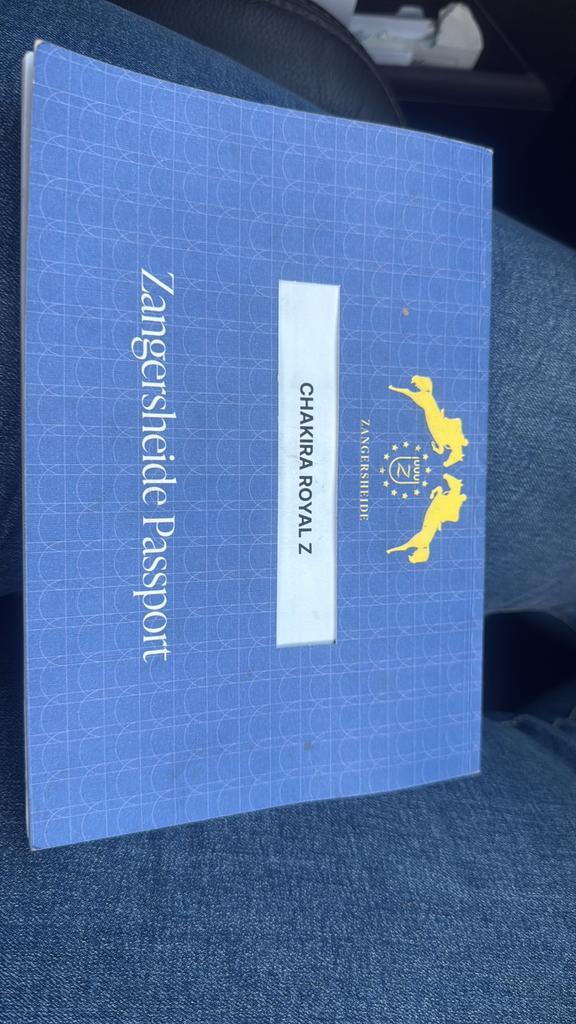 Sportmerrie, Postzegels en Munten, Postzegels | Toebehoren, Ophalen of Verzenden