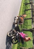 Koetsje, Gebruikt, Sulky, Pony