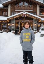 Grijze Name It Hoodie "I Know I Am A Genius" - Maat 134/140, Kinderen en Baby's, Kinderkleding | Maat 140, Trui of Vest, Name it