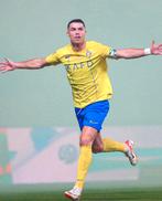 MAILLOT  - FOOT ( Portugal ), Jaune, Enlèvement, ADIDAS, Neuf