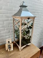 Terrarium met wandelende takken, Dieren en Toebehoren, Ophalen, Zo goed als nieuw