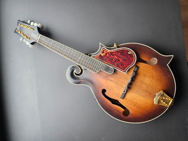 Ortega RMFE100AVO Mandoline (F-Style), Muziek en Instrumenten, Snaarinstrumenten | Gitaren | Bas, Zo goed als nieuw, Ophalen