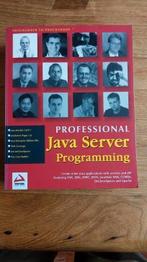Professional Java Server Programming, Boeken, Informatica en Computer, Gelezen, Wrox, Programmeertaal of Theorie, Ophalen of Verzenden
