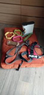 Coussin pour grand chien, Animaux & Accessoires, Accessoires pour chiens, Enlèvement