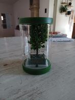 LEMAX BOOM NIEUW, Enlèvement ou Envoi, Neuf