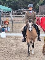 Heel mooie doodeerlijke lieve kinderpony, Dieren en Toebehoren, Pony's, Merrie, Gechipt, Zadelmak, C pony (1.27m tot 1.37m)