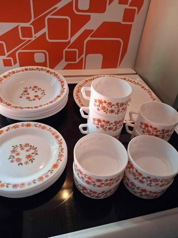 Arcopal Scania-bundel, Huis en Inrichting, Keuken | Servies, Zo goed als nieuw, Ophalen