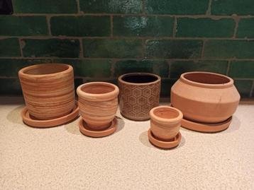 Bloempotjes beschikbaar voor biedingen