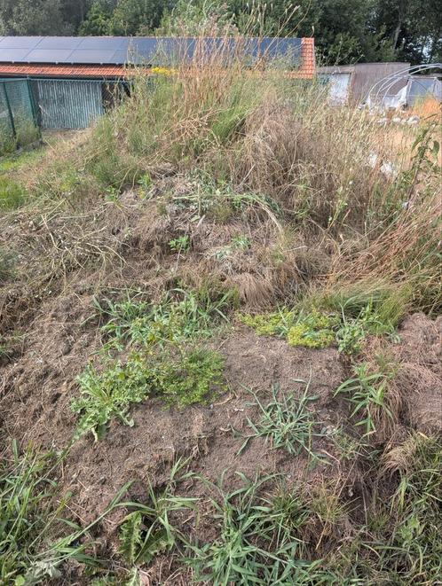 Gratis aanvulgrond, Tuin en Terras, Aarde en Mest, Ophalen