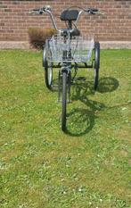 driewieler volwassenen, Fietsen en Brommers, Fietsen | Driewielfietsen, Ophalen of Verzenden, Nieuw