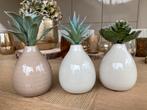 Set 3 keramieken vaasjes met plantjes, Ophalen, Overige kleuren, Aardewerk of Porselein, Nieuw