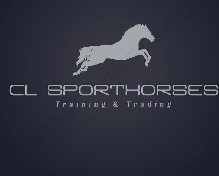 Cl sporthorses, Dieren en Toebehoren, Paarden, Zadelmak