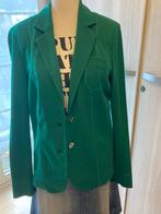 Nouveau blazer vert de haute qualité de Mayerline, Vêtements | Femmes, Vestes & Costumes, Vert, Mayerline, Taille 42/44 (L), Enlèvement ou Envoi