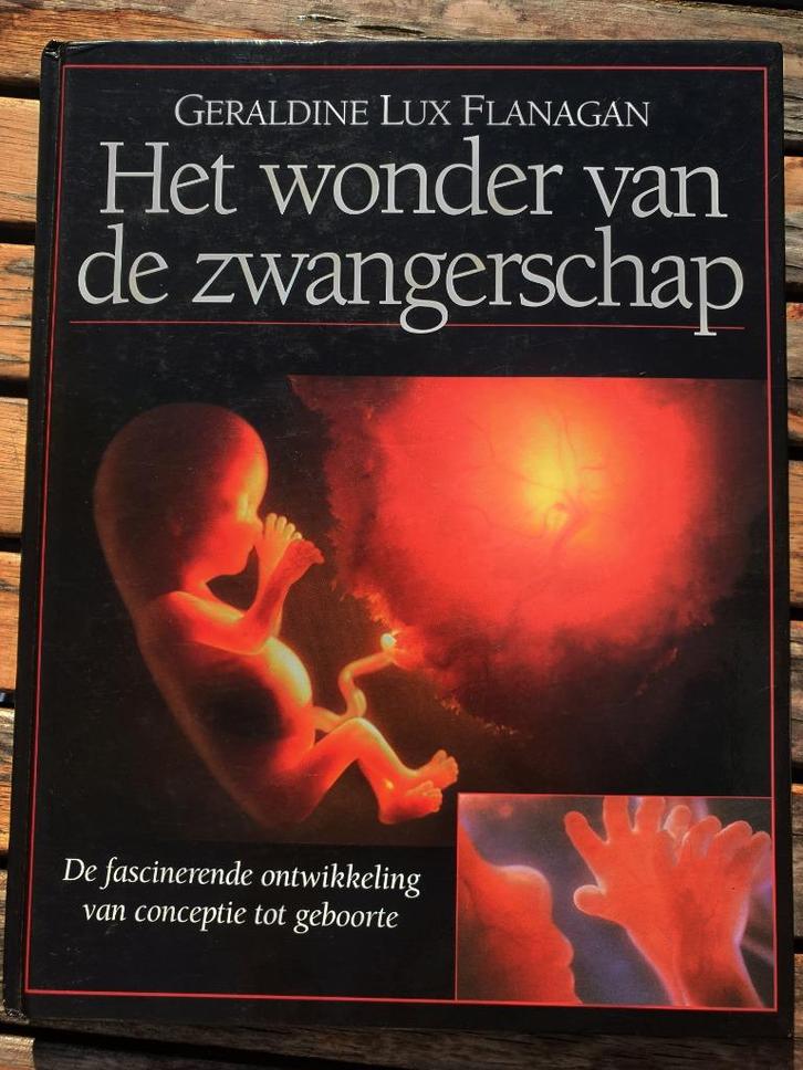 "Het Wonder van de Zwangerschap'" (Geraldine Lux Flanagan), Boeken, Zwangerschap en Opvoeding, Zo goed als nieuw, Zwangerschap en Bevalling