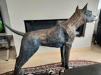 Hond, Antiek en Kunst, Kunst | Beelden en Houtsnijwerken, Ophalen