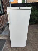 koelkast Liebherr K 3130-20 - vrijstaand, Ophalen, 200 liter of meer, 60 cm of meer, 160 cm of meer