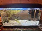 Aquarium (klein), Dieren en Toebehoren, Ophalen, Zo goed als nieuw