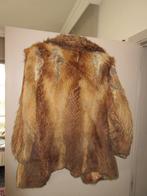 Aalst carnaval: Velle frak.(M) (vos), Ophalen, Gebruikt, Kostuum