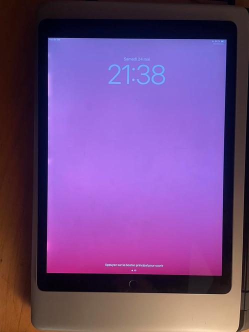 iPad Pro 12,9" 256 GB - Wifi + 4g (mobiel) 2e generatie, Computers en Software, Apple iPads, Gebruikt, Apple iPad Pro, Wi-Fi en Mobiel internet