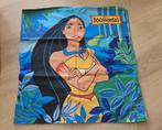 Disney Pocahontas laken, Ophalen, Gebruikt