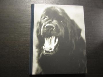 Gentle Giants  -A book of Newfoundlands-  Bruce Weber- beschikbaar voor biedingen