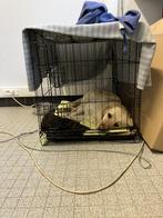 Hondenhok/ Dog Crate XL, Animaux & Accessoires, Maisons pour chiens, 75 à 110 cm, Comme neuf, Enlèvement, Niche à chien