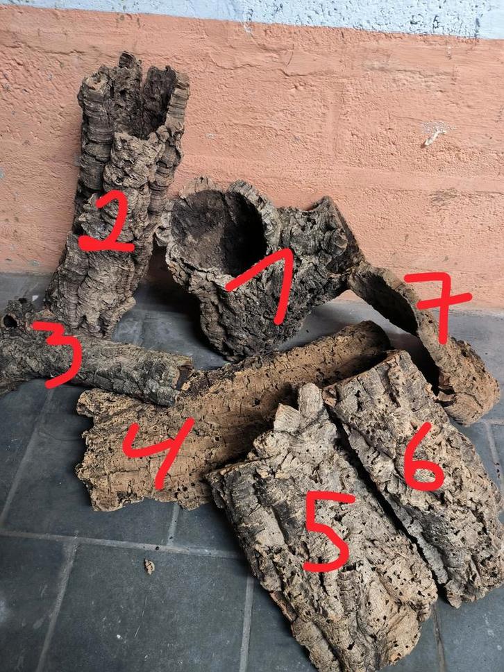 Écorce liège, Tuin en Terras, Brandhout, Eikenhout, Ophalen of Verzenden