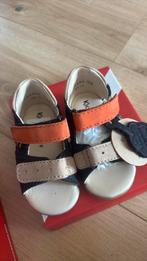 Scandales Kickers bébé - taille 19, Enfants & Bébés, Neuf, Garçon, Enlèvement, Autres types