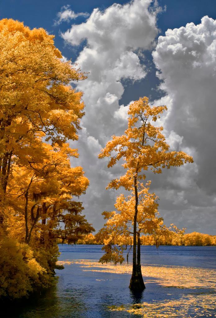 Olympus E-P 1 Infrared 590Nm, TV, Hi-fi & Vidéo, Appareils photo numériques, Utilisé, Compact, Olympus, Enlèvement ou Envoi