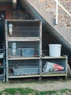 Cages à lapins en béton