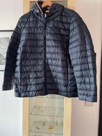 TOMMY HIlFIGER lentejas maat 48 donkerblauw, Enlèvement ou Envoi, Comme neuf