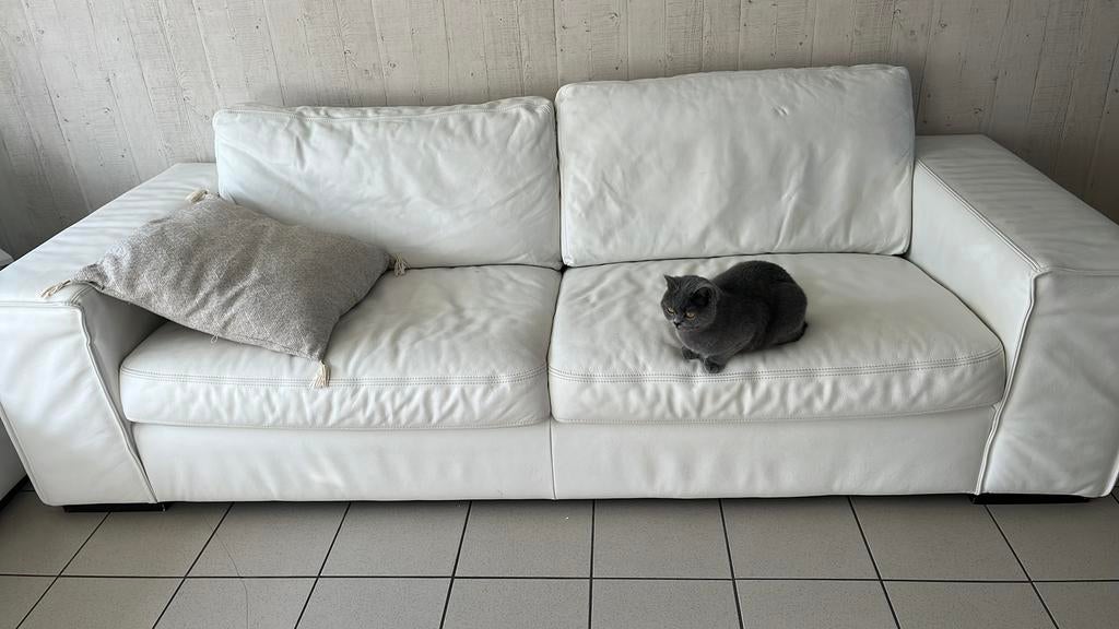 Witte zetels, Ophalen