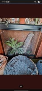 3 exo terra's inc lamp kappen, Ophalen