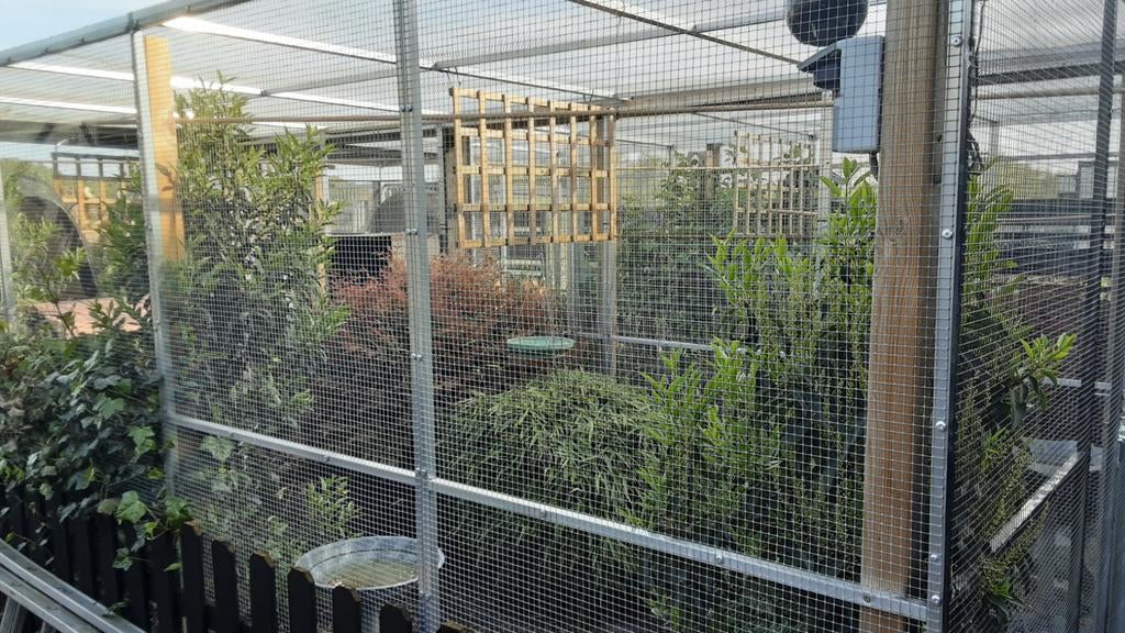 voliere 2 jaar oud  6 m op 4 mzeer mooie, Animaux & Accessoires, Oiseaux | Cages & Volières, Enlèvement