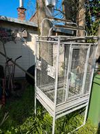 Papegaaien hok, Dieren en Toebehoren, Ophalen, Gebruikt, Overige materialen, Vogelkooi