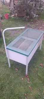 Opkweek / Opfokbak kuikens, Dieren en Toebehoren, Ophalen