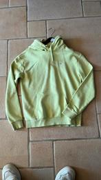 Prachtige pull fila xs, Ophalen, Zo goed als nieuw