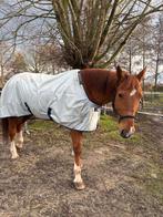 Bruikleen /ter adoptie, Ruin