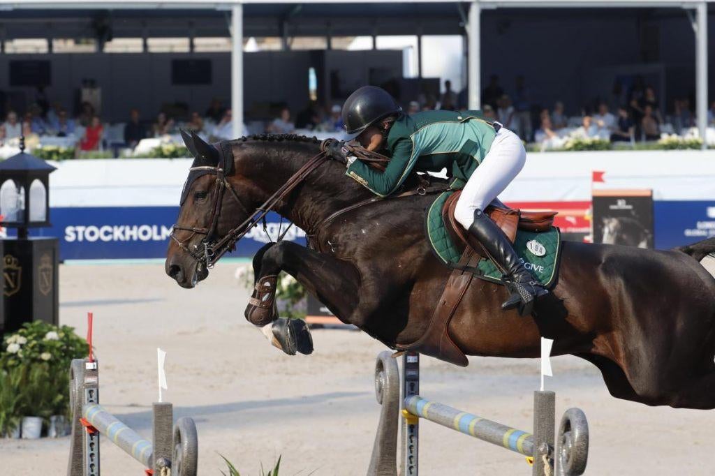 Sperme El Barone 111 Z, Étalon