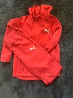 Puma trainingspak, Kleding | Dames, Ophalen of Verzenden, Zo goed als nieuw