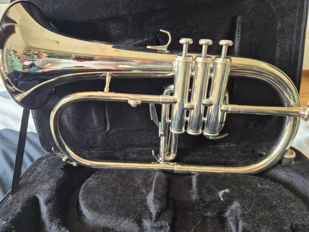 Bugle Sib, Musique & Instruments