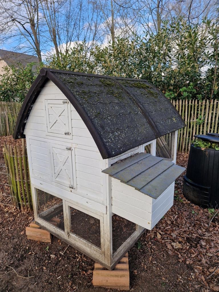 Poulailler XXL, Animaux & Accessoires, Poulailler